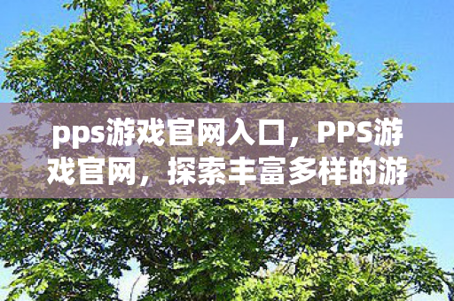 pps游戏官网入口，PPS游戏官网，探索丰富多样的游戏世界