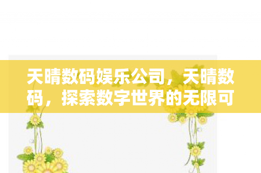 天晴数码娱乐公司，天晴数码，探索数字世界的无限可能