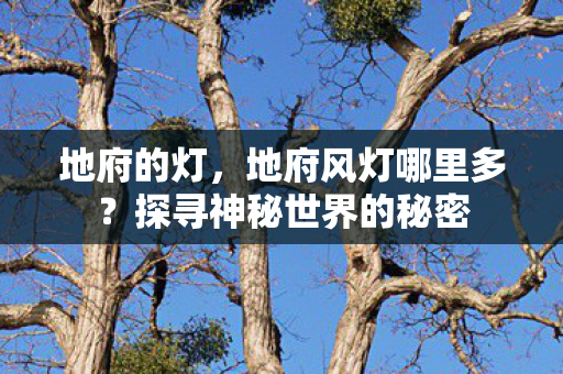 地府的灯，地府风灯哪里多？探寻神秘世界的秘密