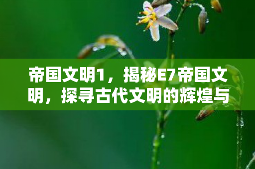 帝国文明1，揭秘E7帝国文明，探寻古代文明的辉煌与遗产