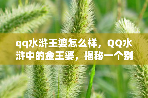 qq水浒王婆怎么样，QQ水浒中的金王婆，揭秘一个别样的江湖传奇