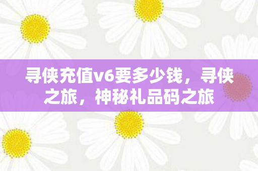 寻侠充值v6要多少钱，寻侠之旅，神秘礼品码之旅