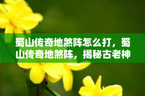 蜀山传奇地煞阵怎么打，蜀山传奇地煞阵，揭秘古老神秘的阵法