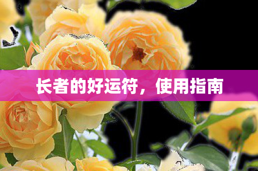 长者的好运符，使用指南