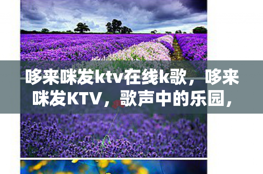 哆来咪发ktv在线k歌，哆来咪发KTV，歌声中的乐园，体验极致的KTV娱乐之旅