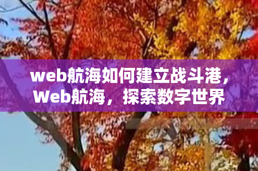 web航海如何建立战斗港，Web航海，探索数字世界的无尽海域
