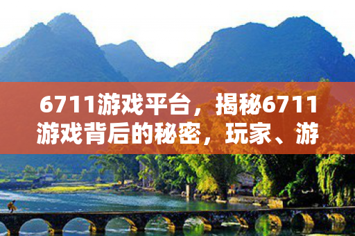 6711游戏平台，揭秘6711游戏背后的秘密，玩家、游戏设计与运营策略深度解析