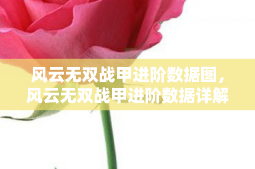 风云无双战甲进阶数据图，风云无双战甲进阶数据详解