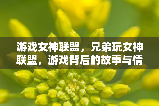 游戏女神联盟，兄弟玩女神联盟，游戏背后的故事与情感连结