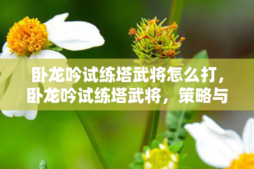 卧龙吟试练塔武将怎么打，卧龙吟试练塔武将，策略与选择的艺术