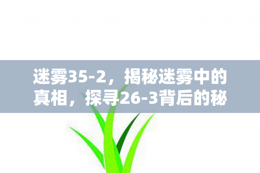 迷雾35-2，揭秘迷雾中的真相，探寻26-3背后的秘密