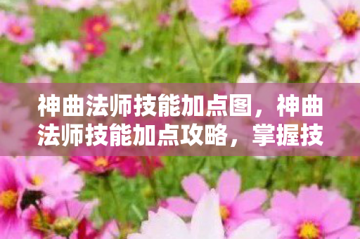 神曲法师技能加点图，神曲法师技能加点攻略，掌握技能，成为真正的法师大师