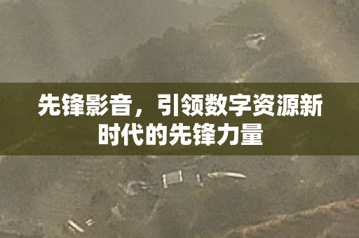 先锋影音，引领数字资源新时代的先锋力量