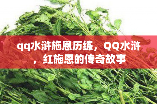 qq水浒施恩历练，QQ水浒，红施恩的传奇故事