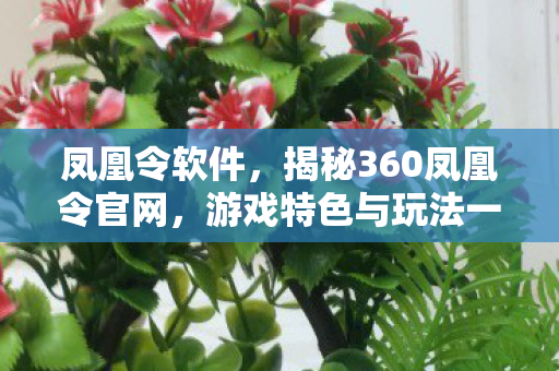 凤凰令软件，揭秘360凤凰令官网，游戏特色与玩法一览