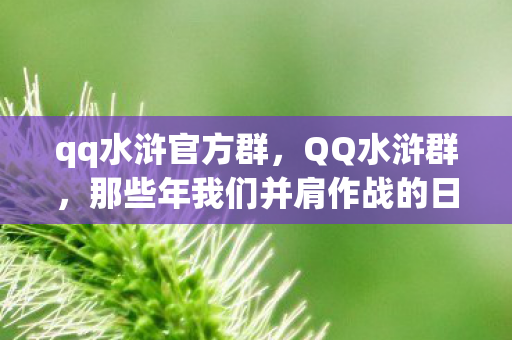 qq水浒官方群，QQ水浒群，那些年我们并肩作战的日子