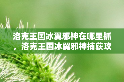洛克王国冰翼邪神在哪里抓，洛克王国冰翼邪神捕获攻略