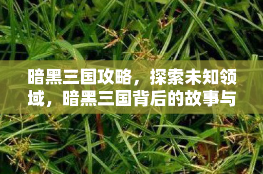 暗黑三国攻略，探索未知领域，暗黑三国背后的故事与魅力