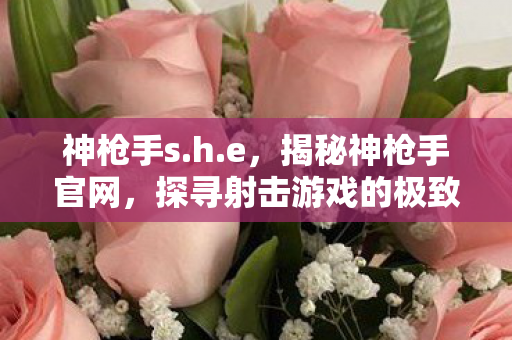 神枪手s.h.e，揭秘神枪手官网，探寻射击游戏的极致魅力