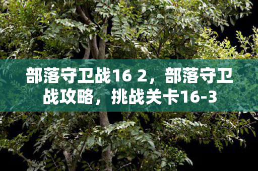 部落守卫战16 2，部落守卫战攻略，挑战关卡16-3
