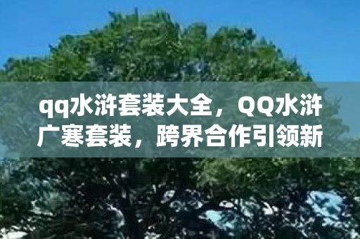 qq水浒套装大全，QQ水浒广寒套装，跨界合作引领新风尚