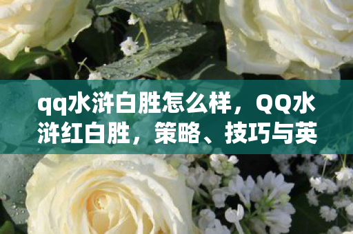qq水浒白胜怎么样，QQ水浒红白胜，策略、技巧与英雄荣耀