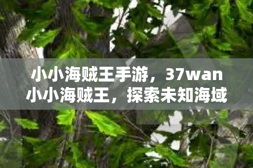 小小海贼王手游，37wan小小海贼王，探索未知海域的冒险之旅