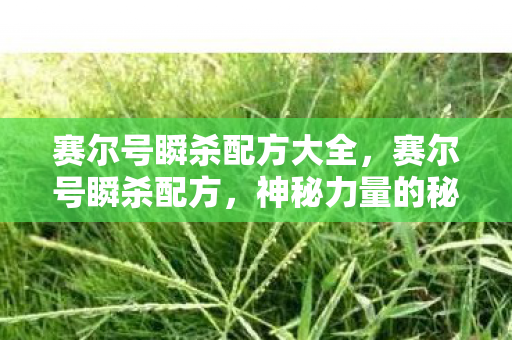 赛尔号瞬杀配方大全，赛尔号瞬杀配方，神秘力量的秘密组合