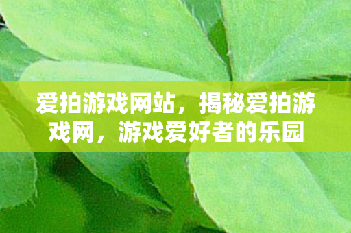 爱拍游戏网站，揭秘爱拍游戏网，游戏爱好者的乐园
