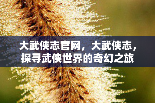 大武侠志官网，大武侠志，探寻武侠世界的奇幻之旅