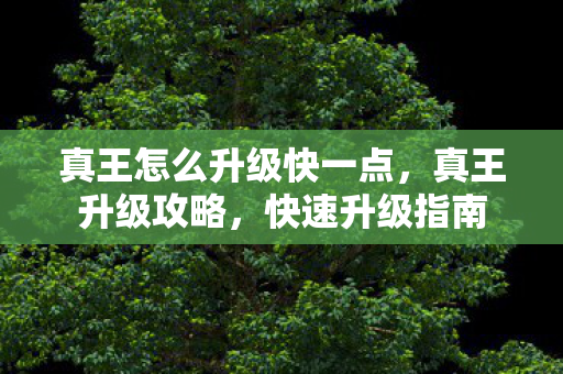 真王怎么升级快一点，真王升级攻略，快速升级指南