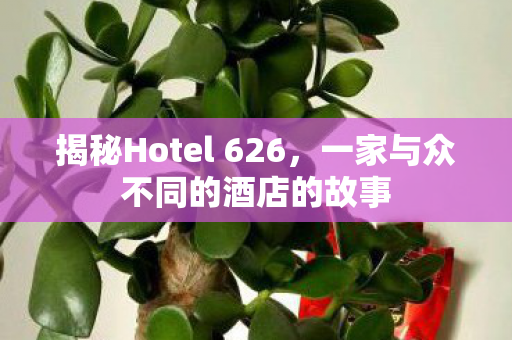 揭秘Hotel 626，一家与众不同的酒店的故事