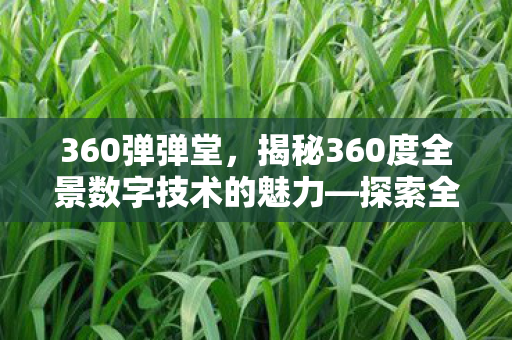 360弹弹堂，揭秘360度全景数字技术的魅力—探索全新的360DDT技术世界