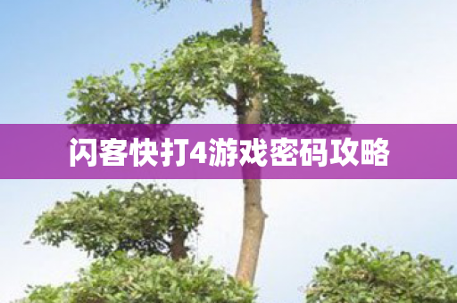 闪客快打4游戏密码攻略