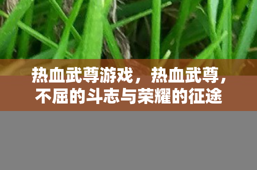 热血武尊游戏，热血武尊，不屈的斗志与荣耀的征途