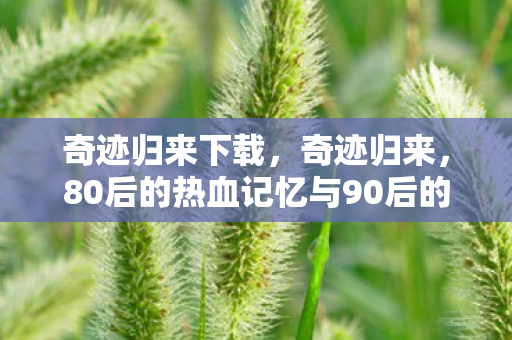 奇迹归来下载，奇迹归来，80后的热血记忆与90后的青春印记