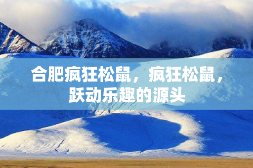 合肥疯狂松鼠，疯狂松鼠，跃动乐趣的源头