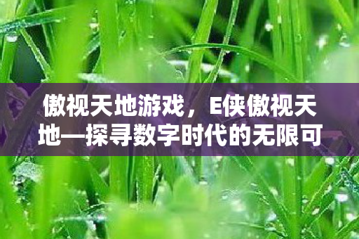 傲视天地游戏，E侠傲视天地—探寻数字时代的无限可能