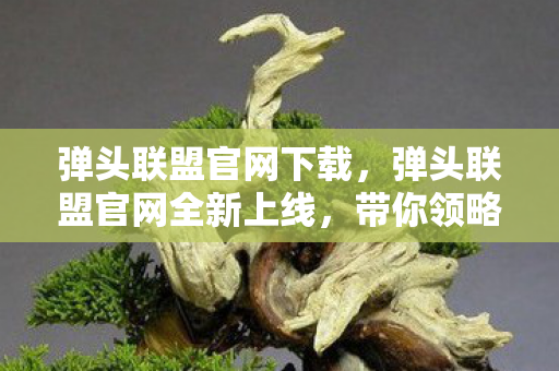 弹头联盟官网下载，弹头联盟官网全新上线，带你领略不一样的游戏世界！