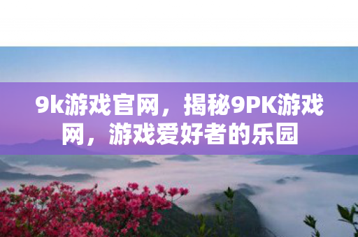 9k游戏官网，揭秘9PK游戏网，游戏爱好者的乐园