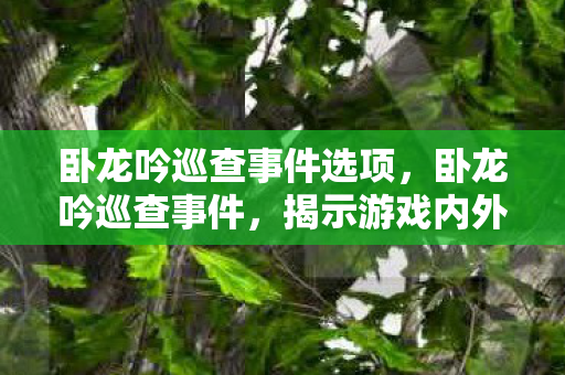 卧龙吟巡查事件选项，卧龙吟巡查事件，揭示游戏内外的真实面貌