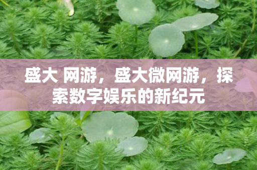 盛大 网游，盛大微网游，探索数字娱乐的新纪元