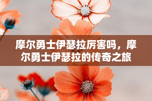 摩尔勇士伊瑟拉厉害吗，摩尔勇士伊瑟拉的传奇之旅