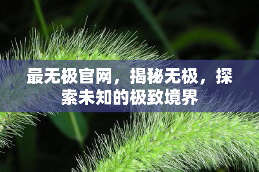 最无极官网，揭秘无极，探索未知的极致境界