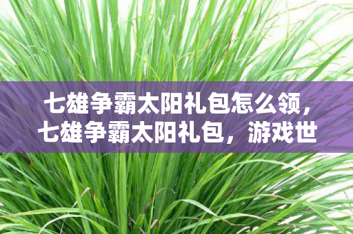 七雄争霸太阳礼包怎么领，七雄争霸太阳礼包，游戏世界的璀璨星辰