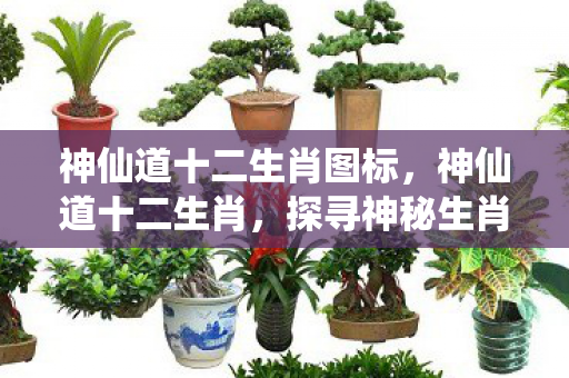 神仙道十二生肖图标，神仙道十二生肖，探寻神秘生肖传说与千年神话