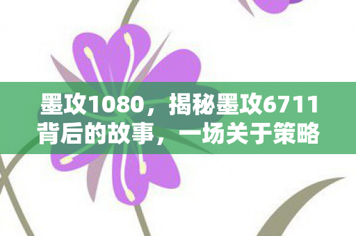 墨攻1080，揭秘墨攻6711背后的故事，一场关于策略与智慧的较量