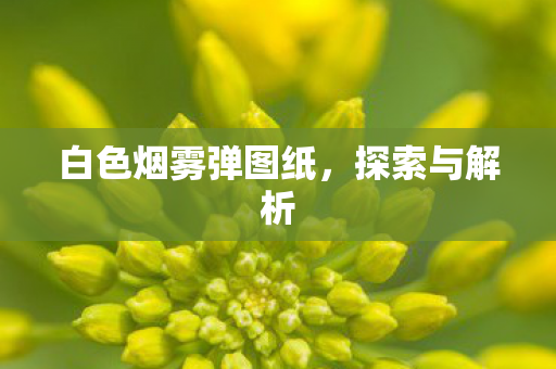 白色烟雾弹图纸，探索与解析