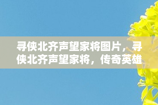 寻侠北齐声望家将图片，寻侠北齐声望家将，传奇英雄背后的荣耀与传奇故事