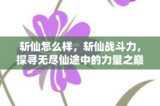 斩仙怎么样，斩仙战斗力，探寻无尽仙途中的力量之巅